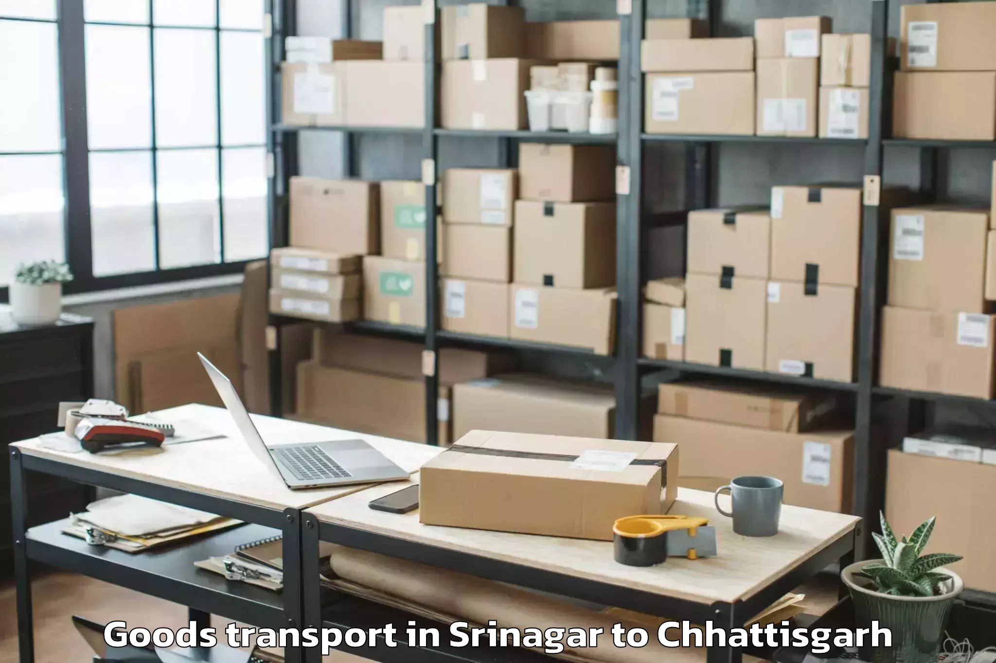 Get Srinagar to Udaipur Dharamjaigarh Goods Transport